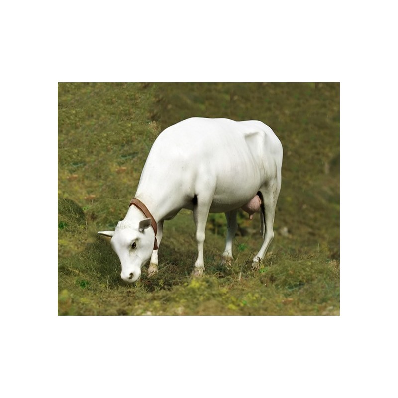 Cow standing (1/35) 