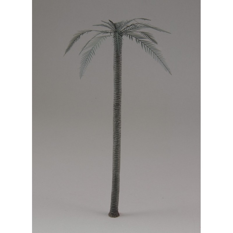 Palm (1/48)