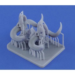 Mufflon skulls (1/35 scale)