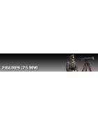 75mm