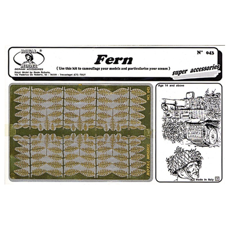 Fern (1/35) 