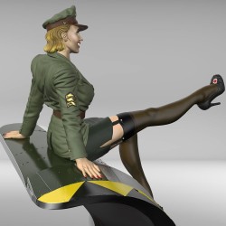 Pin-Up Pilot  (1/35)
