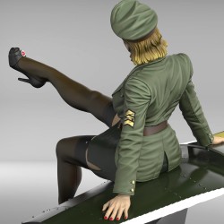 Pin-Up Pilot  (1/35)