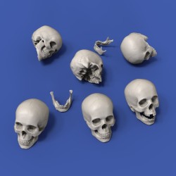 Skulls (1/35 scale)