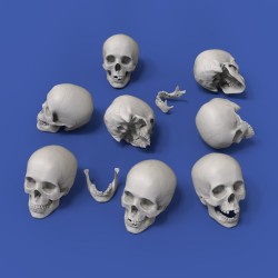 Skulls (1/35 scale)
