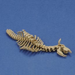 Cow skeleton n.1 (1/35 scale)