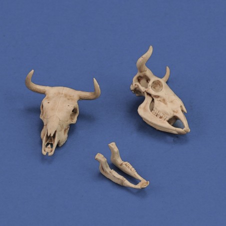Cow skulls (1/35 scale)