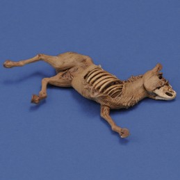 Donkey carcass (1/35 scale) 3D printed