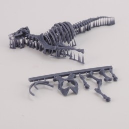 Cow skeleton n.3 (1/35 scale)