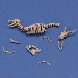 Antelope skeleton (1/35 scale)