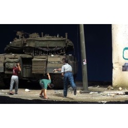 Boys throwing stones (1/35)